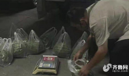 东营吃瓜最新事件爆料视频,最新爆料视频揭秘惊人内幕